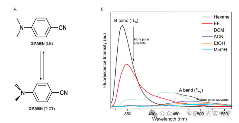 Fluorescent Probes and Imaging Agents Based on Twisted Intramolecular Charge Transfer (TICT)