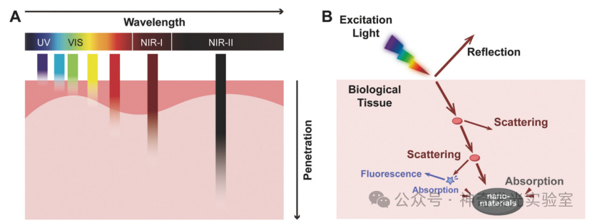 Multifunctional Nanomaterials for Dental Photo-Theranostics