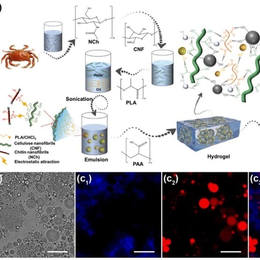 3D-Printable "Smart Skin"? Professor Huan Siqi from Northeast Forestry University Reveals: Multiphase Emulsion Gel Materials with Self-Forming Shells for Smarter Fertilizer Release
