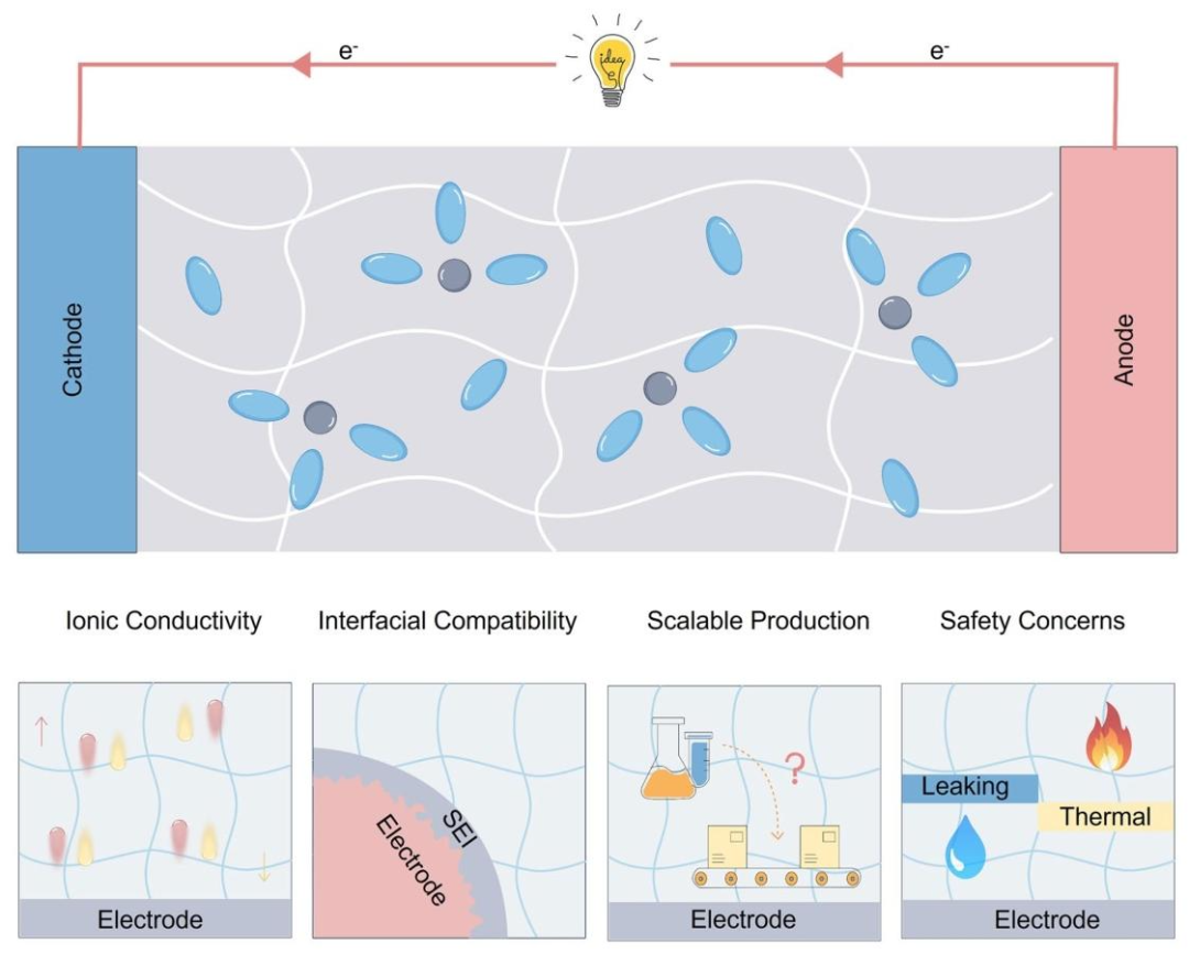 Lignocellulose-Mediated Gel Polymer Electrolytes: Enabling Next-Generation Energy Storage Devices