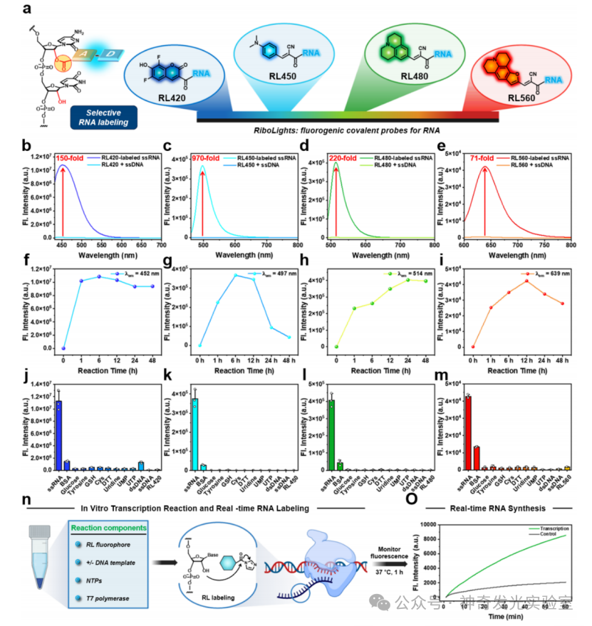 Fluorogenic Covalent Probes for RNA