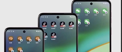 LCD Phones Supporting Multi-Account Applications: A Dying Breed!