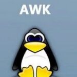 Usage of the Linux Text Processing Command awk
