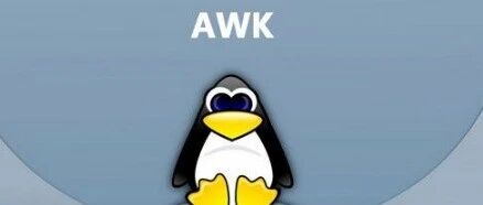 Usage of the Linux Text Processing Command awk