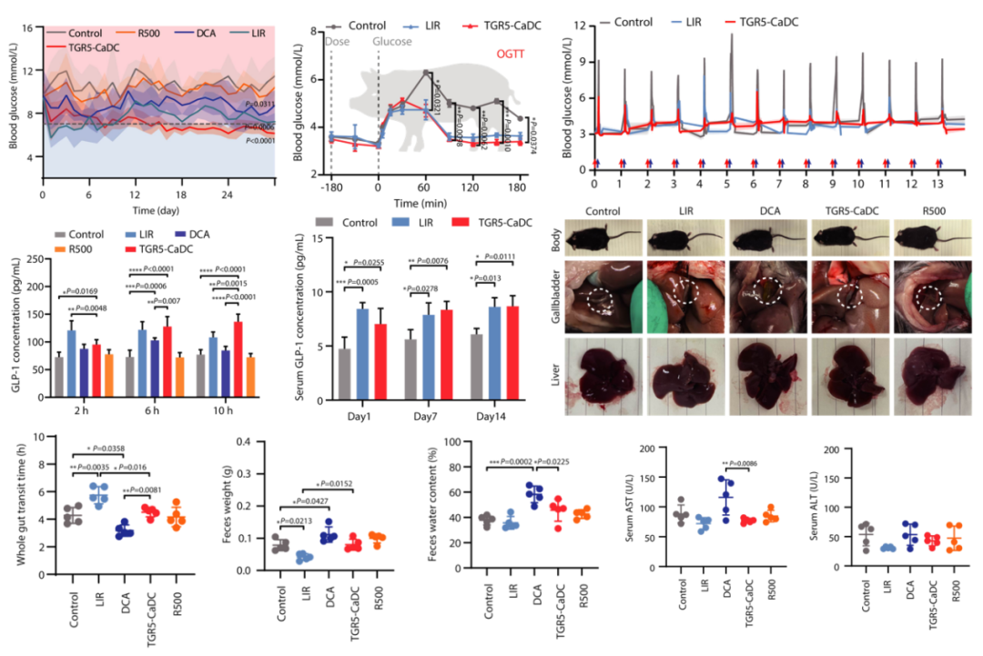 After ADC, CaDC Arrives | Shanghai Institute of Materia Medica Science Subjournal