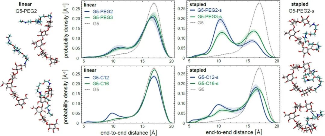 Stapling of β-Glucans Enhances Antibody Binding