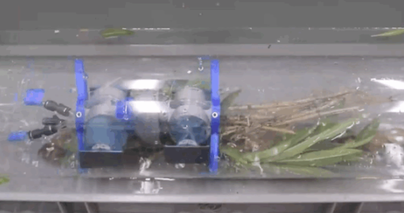 Researchers Develop Advanced Robotics and AI Systems for Pipeline Inspection and Blockage Prevention