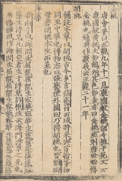 The Top National Treasures in 'The Tang Dynasty Mysteries', Have You Understood Them?