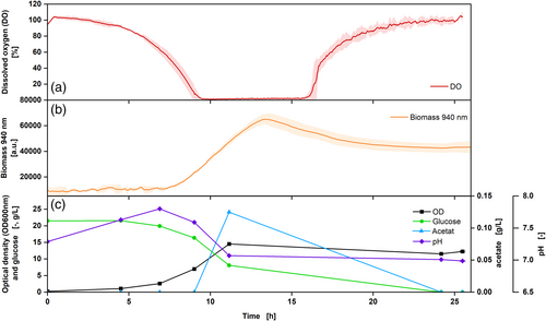 A Novel Multiparameter Sensor for Shake Flask Cultivations: Online Monitoring of Biomass, Dissolved Oxygen, and Fluorescence for Comprehensive Bioprocess Characterization