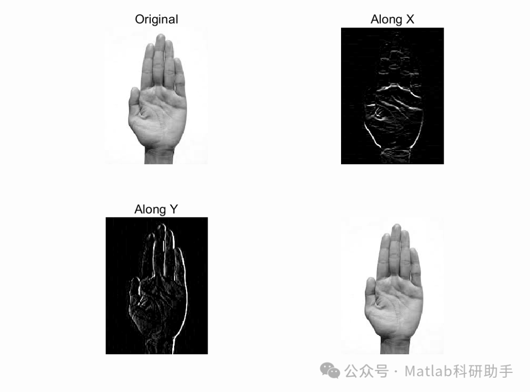 Palm Texture Recognition with Matlab Code
