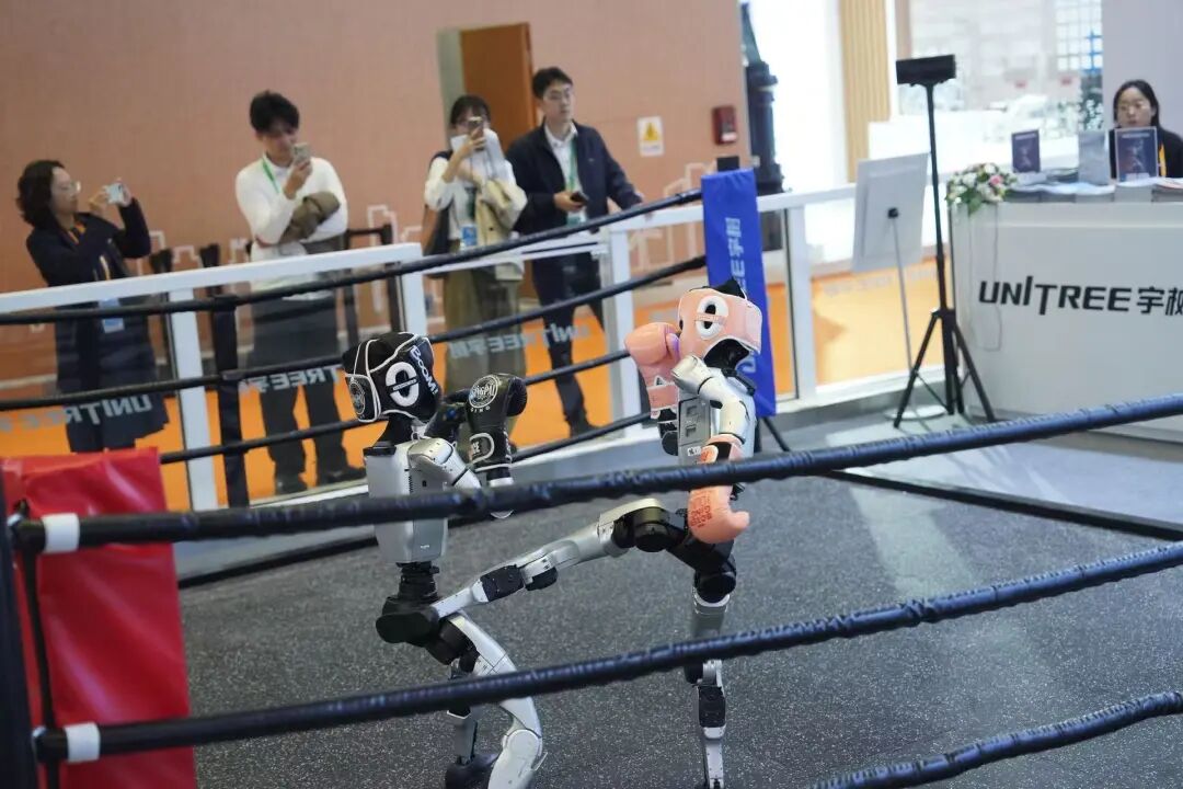 From Yushu Robotics and AI Toys to Personalized Sports Coaches: The New Educational Landscape Driven by Technology at the Import Expo