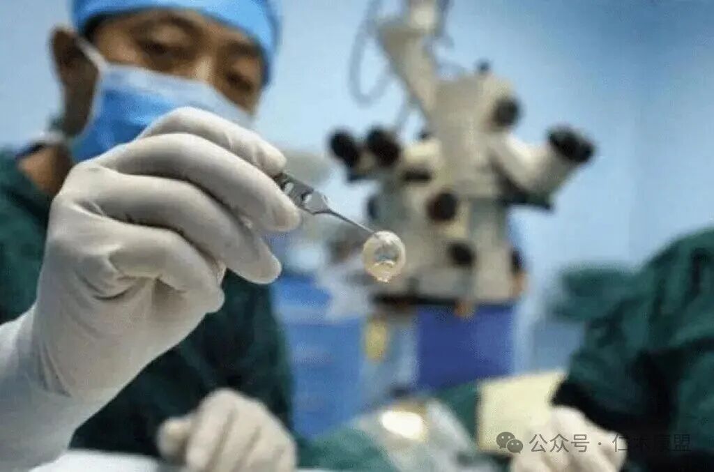 Impact of Successful 3D Printed Corneal Transplant Cases on the Medical Industry and Analysis of Related Companies at Home and Abroad