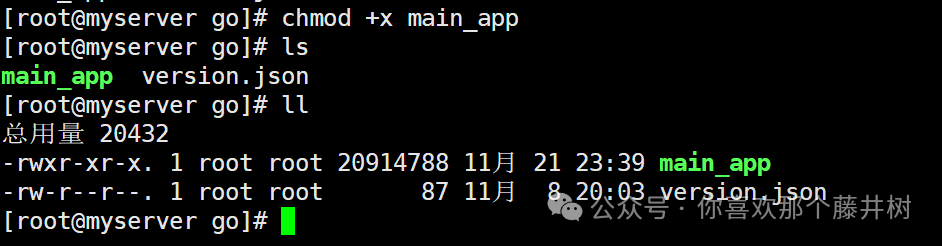 Go Learning Notes (8): Packaging for Linux System Execution