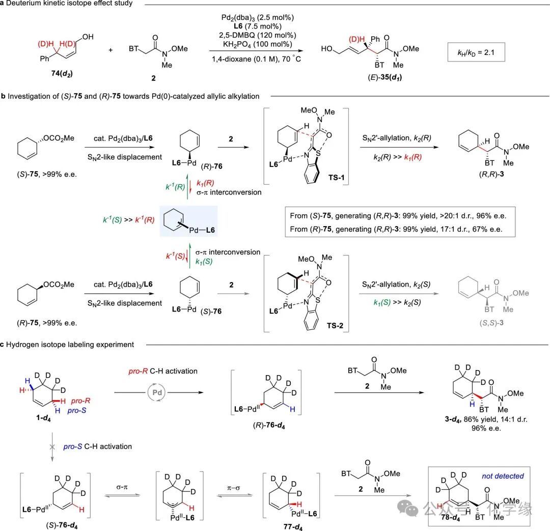 Palladium-Catalyzed Site– and Enantiodifferentiating Allylic C–H Alkylation of Internal Alkenes