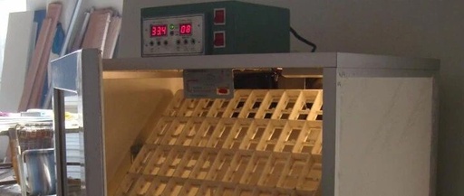 Guide to Selecting Temperature and Humidity Sensors for Incubators