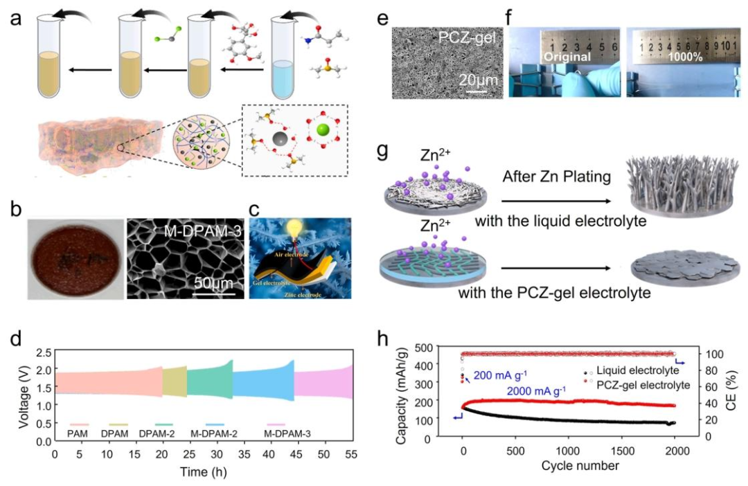Lignocellulose-Mediated Gel Polymer Electrolytes: Enabling Next-Generation Energy Storage Devices
