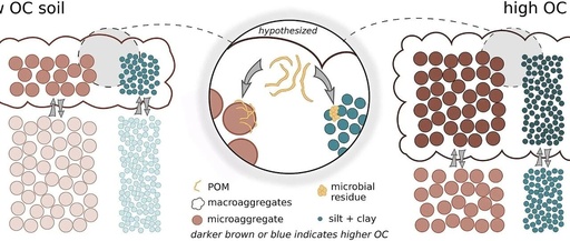 SOC Accumulation Informed by Soil Fractionation Method of Six