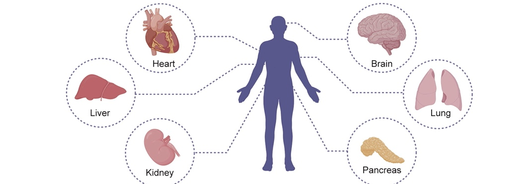 What Exactly is Biological 3D Printing?