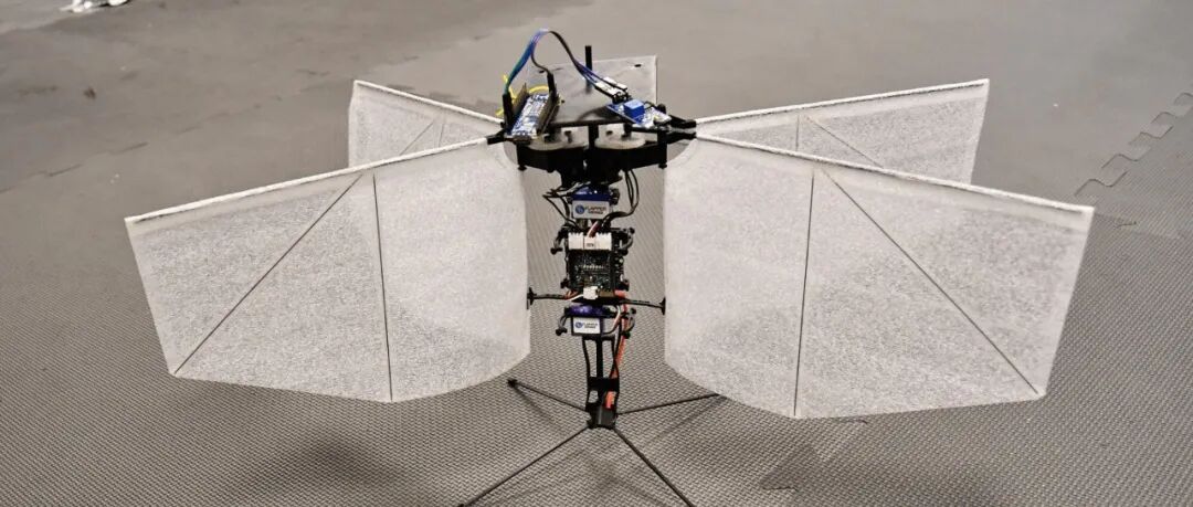 Minimalist AI Potato Counter, ESP32-C5 Dual-Band WiFi Signal Analyzer, Portable Hand-Drawn Photo Machine | DF Maker Weekly (Issue 153)