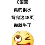 Why Struggle with Hundreds of Pages of Textbooks? Smart People Have Condensed C Language into Just 48 Pages!