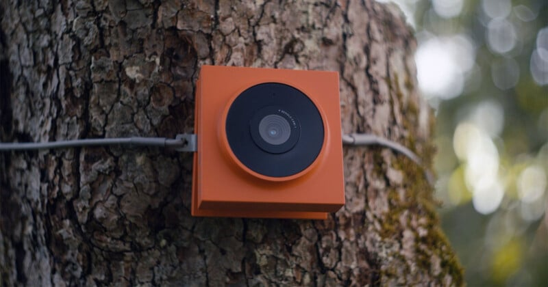 AI Algorithms and Imaging Hardware: New Innovations in Cameras by 2025