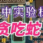 Snake Game Design Based on 51 Microcontroller