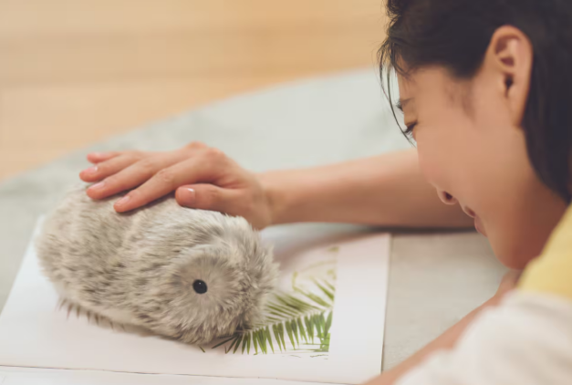 Opportunities in the World's Third Largest Consumer Market: How Chinese AI Toys Tap into Japan's "Loneliness Market"?