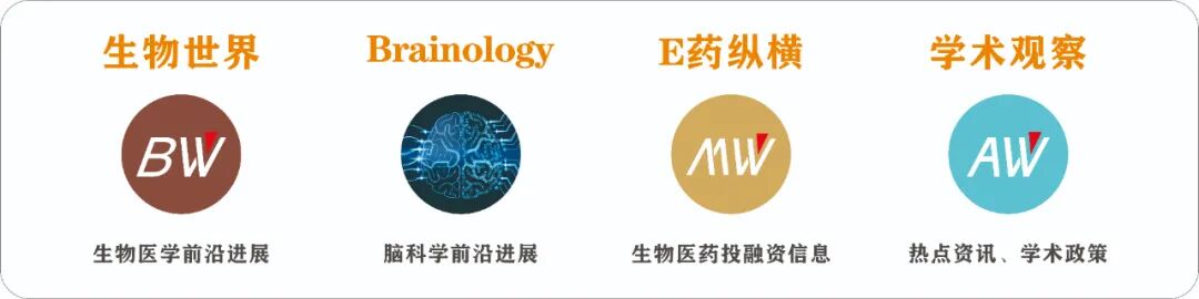 Introducing Microrobots into the Brain: A Revolutionary Approach to Treating Brain Diseases with Clinical Trials Planned Within Two Years