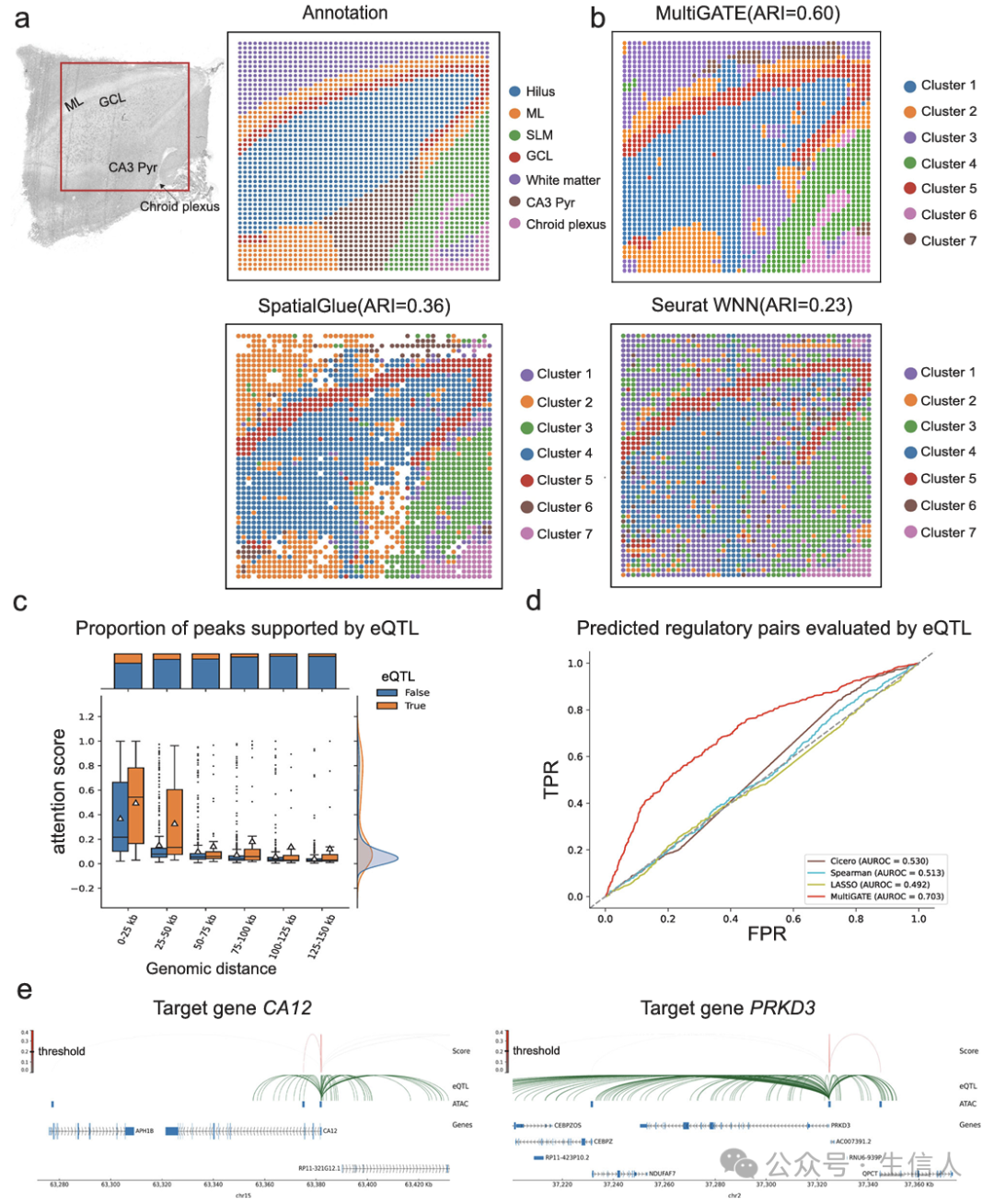 Breaking Through the Challenges of Spatial Multi-Omics Integration! The MultiGATE Tool Emerges to Precisely Decode Tissue Microenvironments and Regulatory Networks