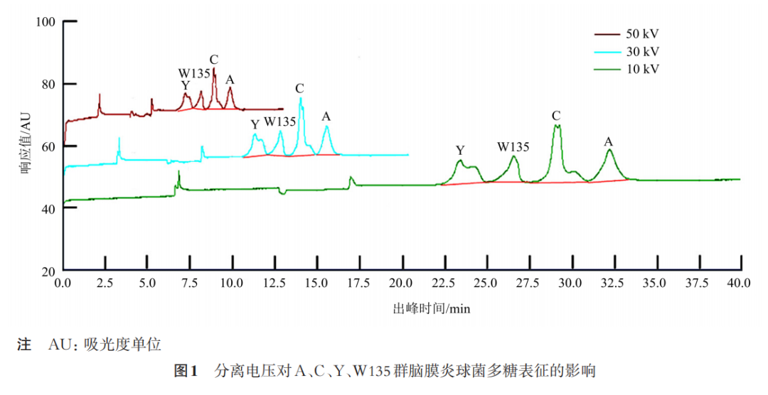 Determination of Polysaccharide Content and Molecular Size Distribution of A, C, Y, and W135 Group Meningococcal Polysaccharide Vaccine by Capillary Zone Electrophoresis