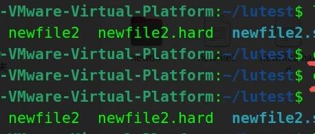 Linux Tutorial | Permission Management Commands