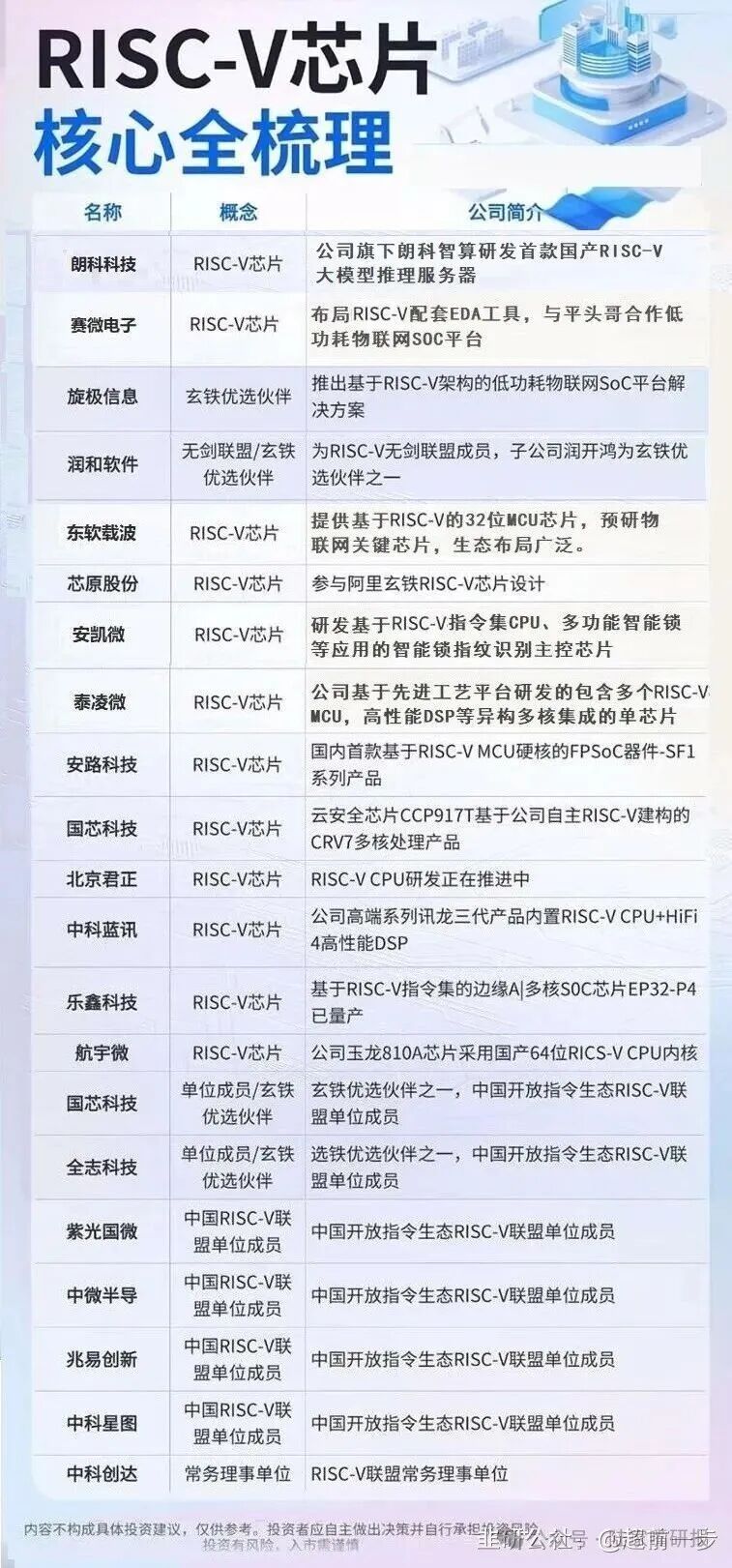 Overview of RISC-V Chips