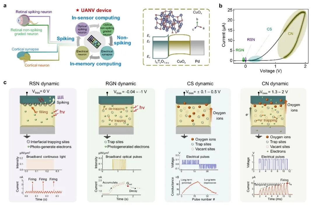 Top Ten Research Advances in Semiconductors (2025-021)