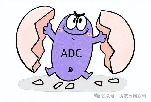Biological Missiles in Tumor Treatment: Why ADC Drugs Are Gaining Attention?