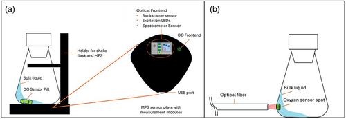 A Novel Multiparameter Sensor for Shake Flask Cultivations: Online Monitoring of Biomass, Dissolved Oxygen, and Fluorescence for Comprehensive Bioprocess Characterization
