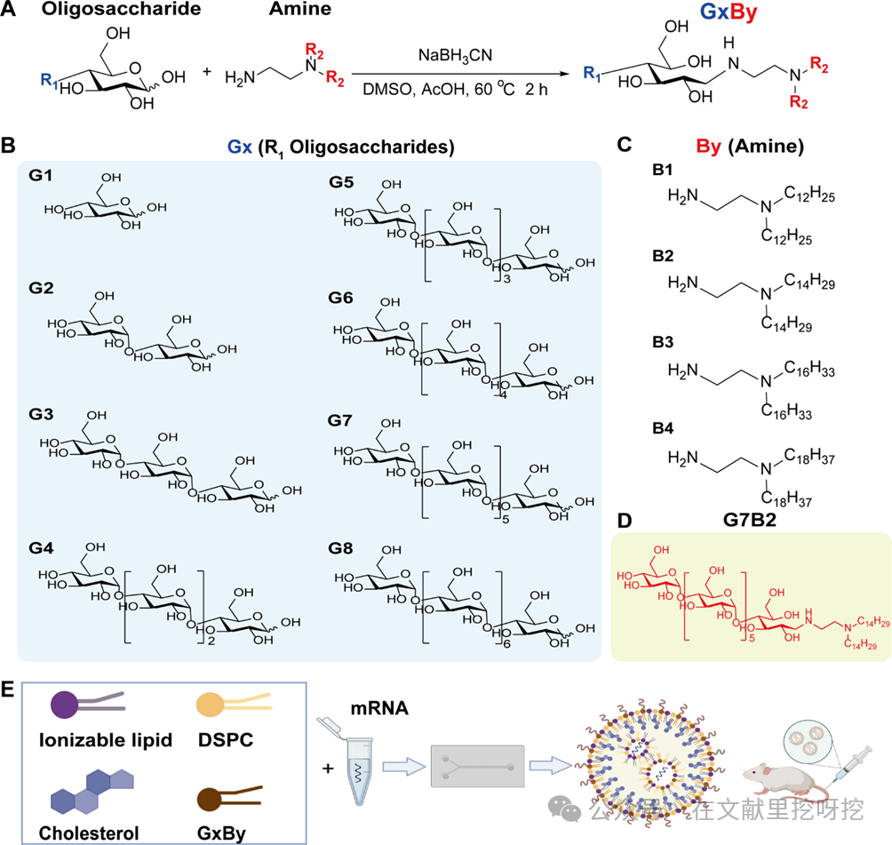 Engineering Natural Glycolipid-Based LNPs: An Efficient mRNA Delivery Platform Overcoming PEG Limitations