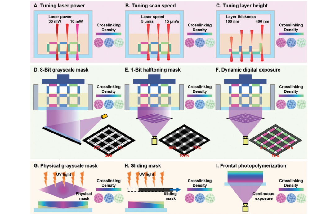 Grayscale Photopolymerization 3D Printing Promotes the Fine Manufacturing of Functionally Graded Materials