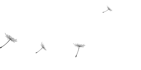 Rust CRC-Fast: 10× Speedup with Just One Line of Code