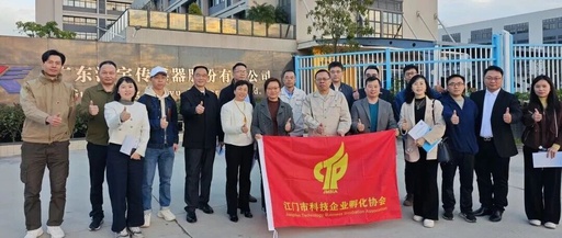 Exploring Specialized and Innovative 'Little Giant' Enterprises