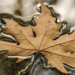 Advanced Device Tree (Part 4): Practical Linux Debugging