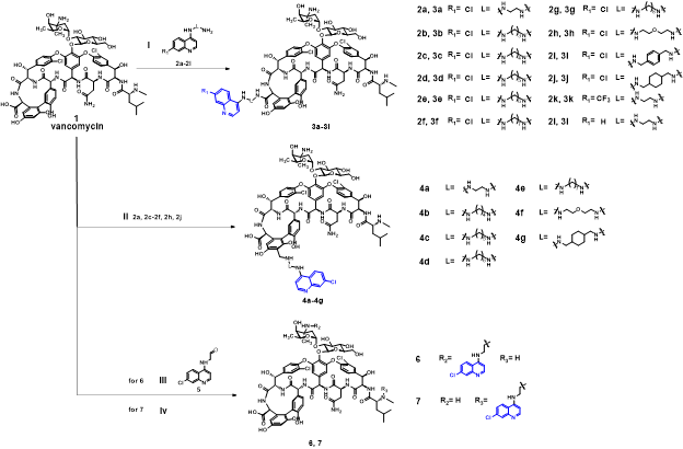 Single Quinoline Modification of Vancomycin: An Effective Strategy to Alter Antibacterial Spectrum and Combat Multidrug Resistance