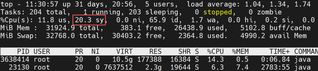 Hardcore Insights: CPU Performance Optimization Practices for Java on Linux