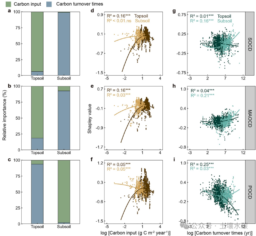 Hierarchical Drivers Shaping the Global Patterns of Soil Organic Carbon