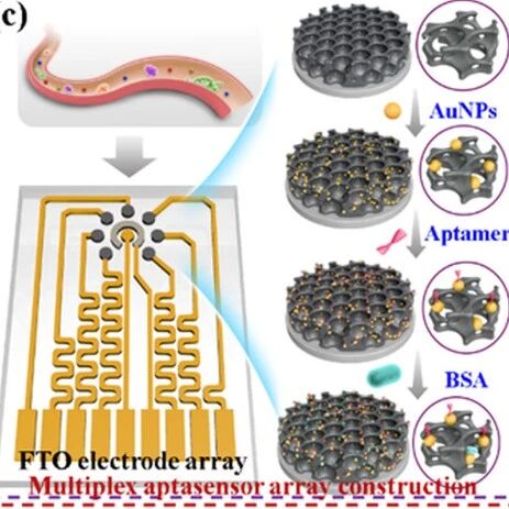 South China Normal University Develops Integrated Electrochemical Aptamer Sensor Array for Multi-Target Detection of Acute Myocardial Infarction