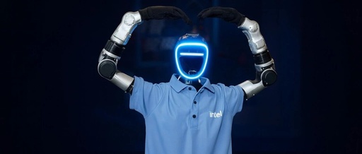 The Challenges of Humanoid Robots: Can a 'Nine-Square' Hotpot Provide Solutions?