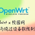 Implementing Automatic Authentication and Bypassing Device Limitations for Campus Networks Based on OpenWrt Routers