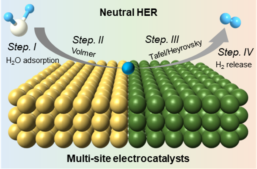 Multi-site Electrocatalysts for Hydrogen Production under Neutral Conditions: A Review by Professor Yu Ying from Central China Normal University