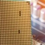 Semiconductor Industry Executives: Mature Process Chips Become China's Ace, Bypassing the US Blockade