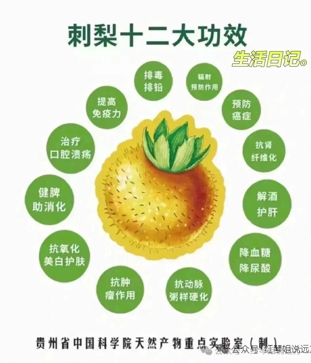 Beyond Vitamin C: The Amazing Antioxidant Power of SOD in Kiwi Fruit