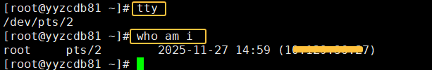 Differences Between /dev/tty, /dev/tty0, and /dev/console in Linux